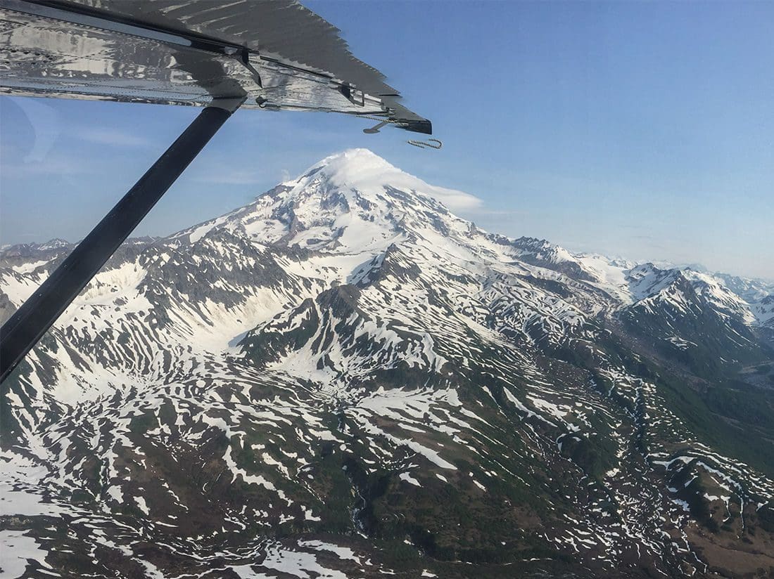 Fly Out Fishing Alaska Fishology Kenai River Salmon Fishing Guide