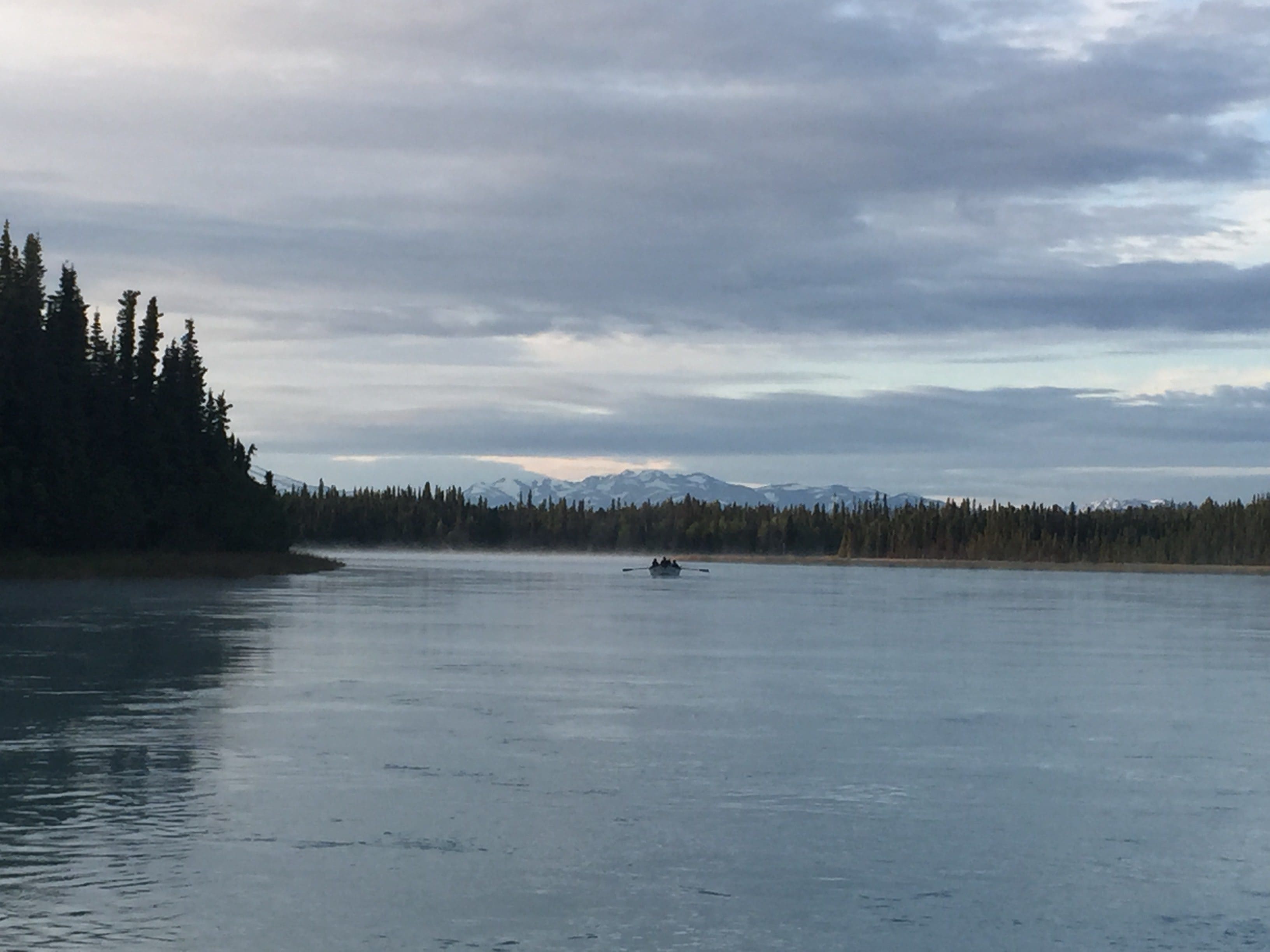 Spotlight Upper Kasilof River Alaska Fishology Kenai River Salmon Spotlight Upper Kasilof River Alaska Fishology Kenai River Salmon