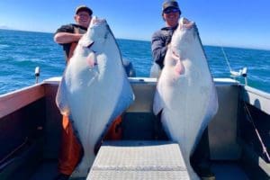 scott-discover-halibut-300x200